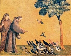 saint François d'Assise.jpg