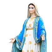 16314755-vierge-marie-statue-en-face-de-la-cath-drale-de-l-39-immacul-e-conception.jpg